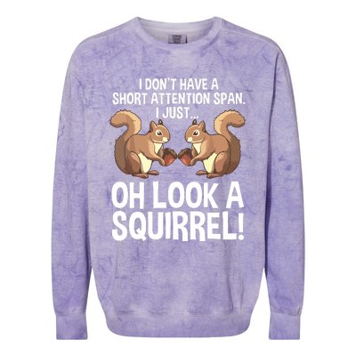 Funny ADHD Squirrel Design For Chipmunk Pet Lovers Colorblast Crewneck Sweatshirt