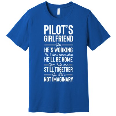 Funny Aviator Surprise Aviation Pilots Friend Cute Gift Premium T-Shirt