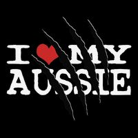 Funny Australian Shepherd I Love My Aussie Funny Aussie Bucket Hat