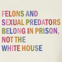 Felons And Sexual Predators Belong In Prison Not The White House Bucket Hat