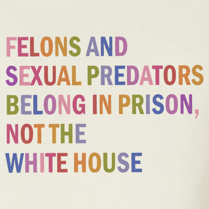 Felons And Sexual Predators Belong In Prison Not The White House Bucket Hat