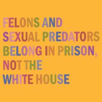 Felons And Sexual Predators Belong In Prison Not The White House Sustainable Knit Beanie