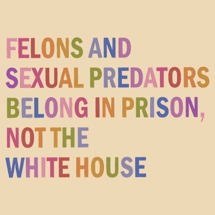 Felons And Sexual Predators Belong In Prison Not The White House Bag