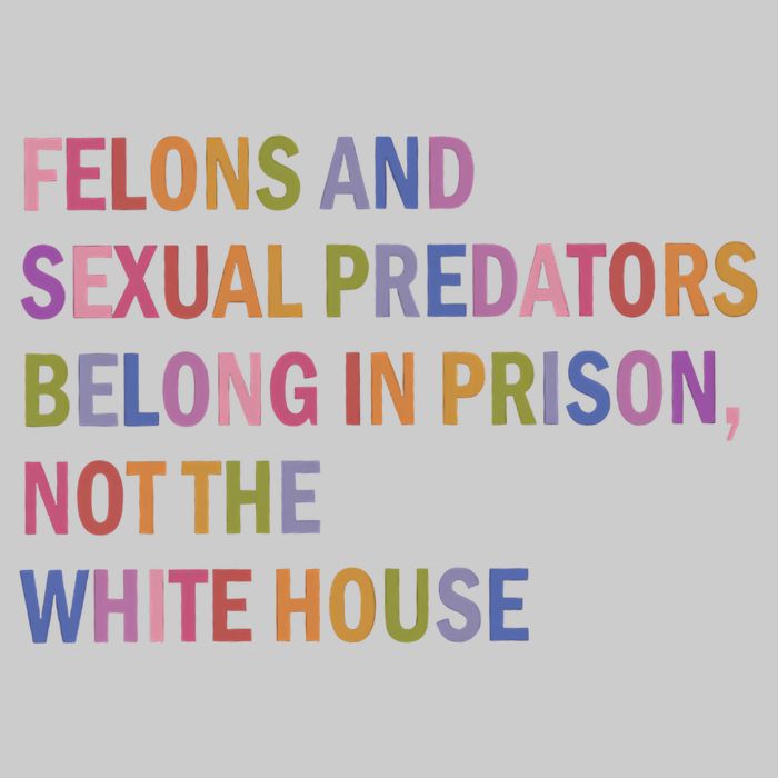 Felons And Sexual Predators Belong In Prison Not The White House Tie-Dye T-Shirt