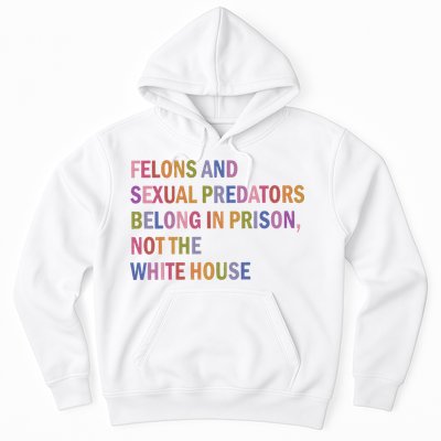 Felons And Sexual Predators Belong In Prison Not The White House Hoodie