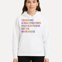 Felons And Sexual Predators Belong In Prison Not The White House Hoodie