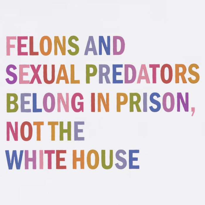 Felons And Sexual Predators Belong In Prison Not The White House Sustainable Bucket Hat