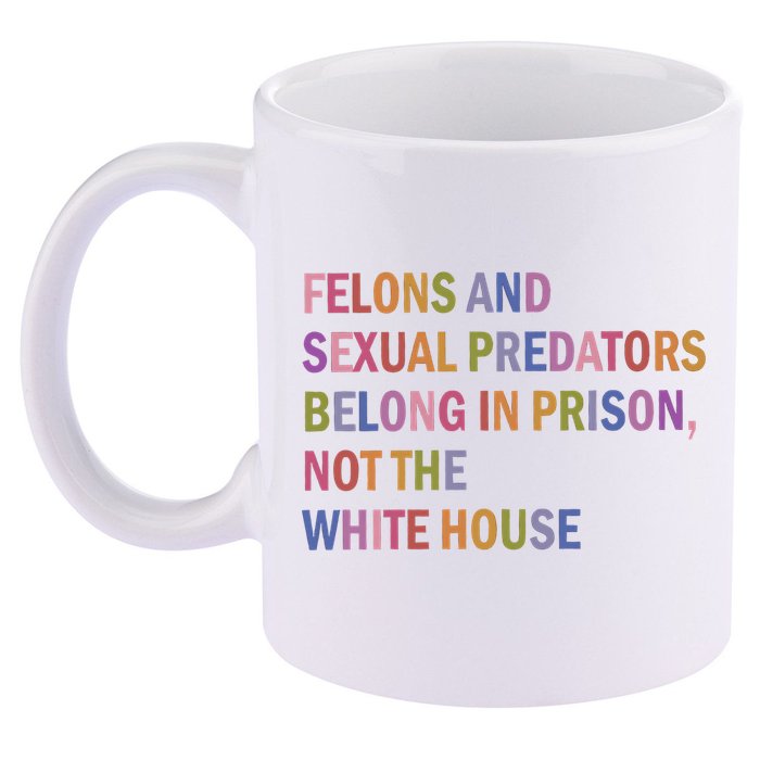 Felons And Sexual Predators Belong In Prison Not The White House 11oz C Handle Ceramic Mug