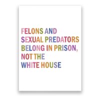 Felons And Sexual Predators Belong In Prison Not The White House Poster