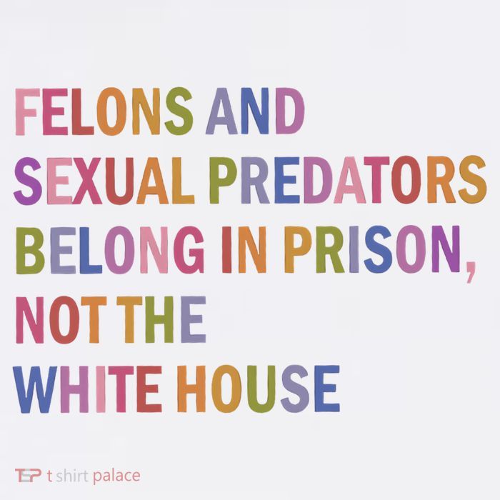 Felons And Sexual Predators Belong In Prison Not The White House Tank Top