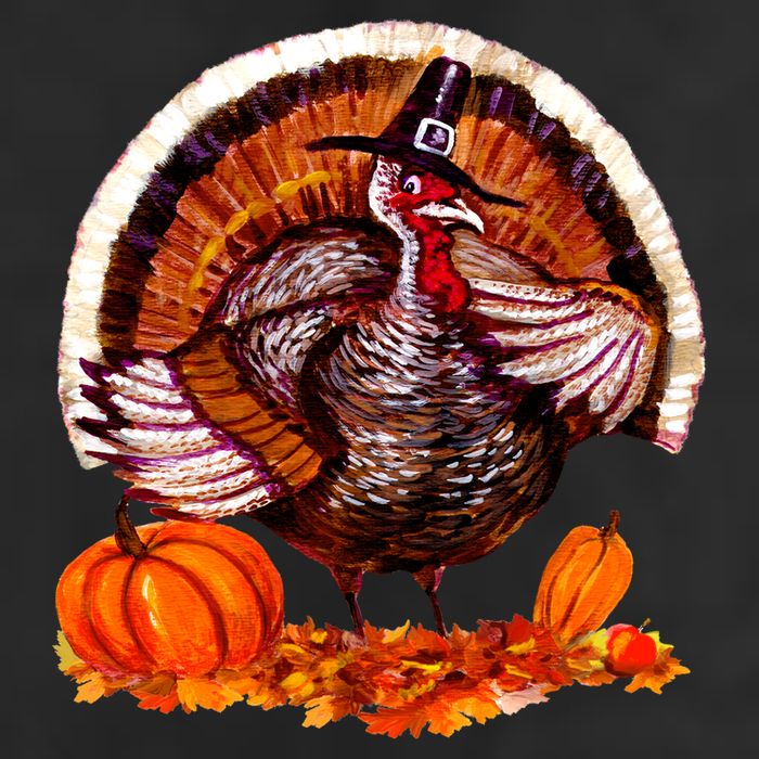 Fat Turkey Pumpkin Scene 11oz C Handle Ceramic Mug