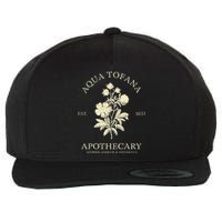 Feminist Aqua Tofana Apothecary Vintage Design Wool Snapback Cap