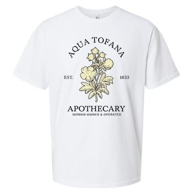 Feminist Aqua Tofana Apothecary Sueded Cloud Jersey T-Shirt