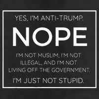 Funny Anti Trump Quote IM Just Not Stupid 11oz C Handle Ceramic Mug
