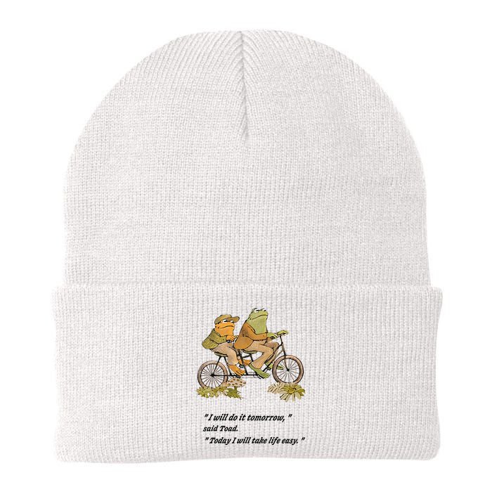 Frog And Toad I Will Do It Tomorrow Said Today I Will Take Life Easy Knit Cap Winter Beanie