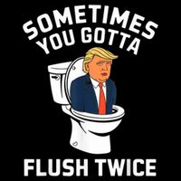 Funny Anti Trump Sometimes You Gotta Flush Twice Flatbill Hat