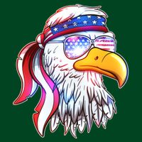 Funny American USA Flag Bandana Eagle Sweatshirt