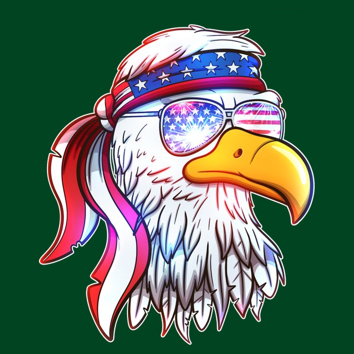 Funny American USA Flag Bandana Eagle Sweatshirt