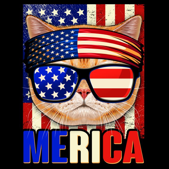 Funny American USA Flag Merica Cat City Backpack