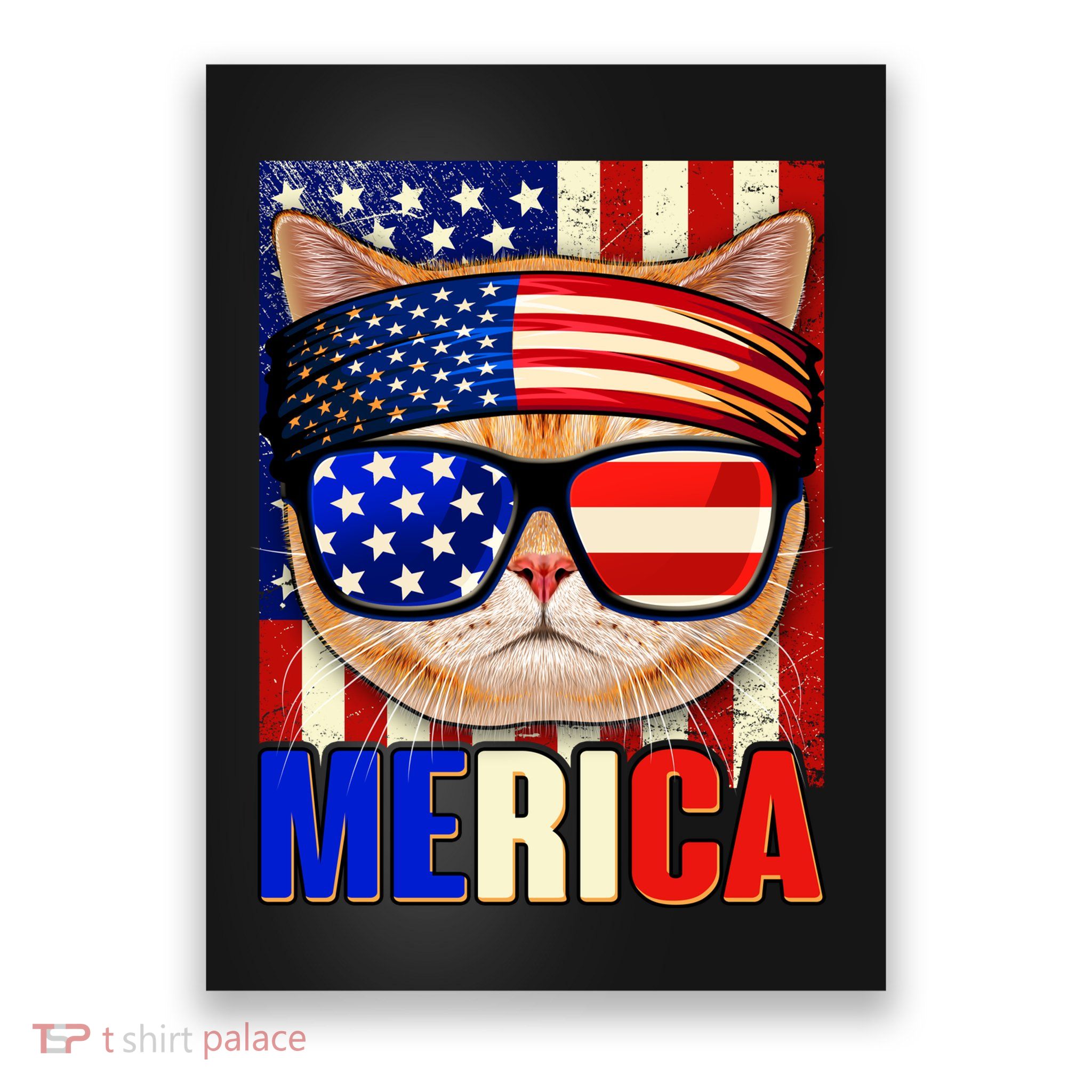 Funny American USA Flag Merica Cat Poster