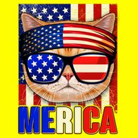 Funny American USA Flag Merica Cat 11oz C Handle Ceramic Mug