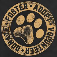 Foster. Adopt. Volunteer. Donate. Animal Rescue Dog 7 Panel Mesh Trucker Snapback Hat