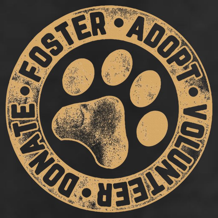 Foster. Adopt. Volunteer. Donate. Animal Rescue Dog 7 Panel Mesh Trucker Snapback Hat