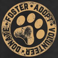 Foster. Adopt. Volunteer. Donate. Animal Rescue Dog 7 Panel Mesh Trucker Snapback Hat