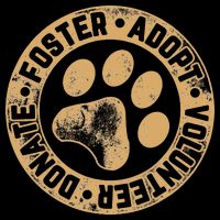 Foster. Adopt. Volunteer. Donate. Animal Rescue Dog City Backpack
