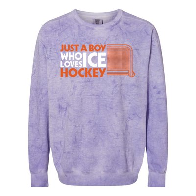 Funny A Who Loves Ice Hockey Great Gift Colorblast Crewneck Sweatshirt