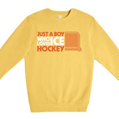 Funny A Who Loves Ice Hockey Great Gift Premium Crewneck Sweatshirt