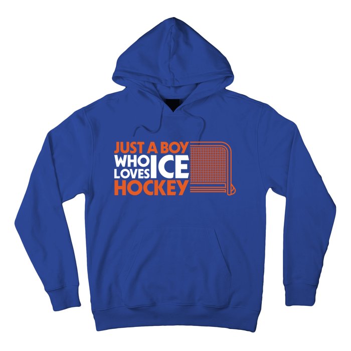 Funny A Who Loves Ice Hockey Great Gift Hoodie