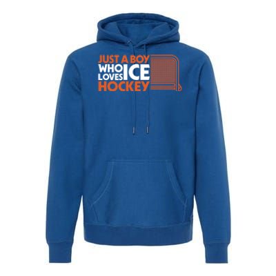 Funny A Who Loves Ice Hockey Great Gift Premium Hoodie