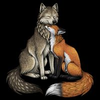 Fox And Wolf Cooling Performance Crew T-Shirt