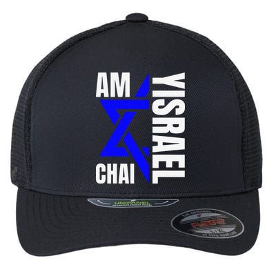 Funny Am Yisrael Chai Israel Star Of David Flexfit Unipanel Trucker Cap