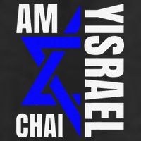 Funny Am Yisrael Chai Israel Star Of David Adult Drive Performance Visor