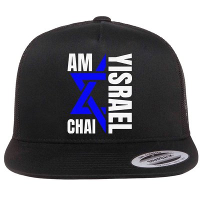 Funny Am Yisrael Chai Israel Star Of David Flatbill Hat