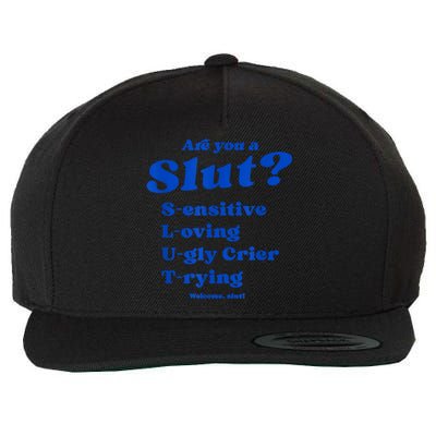 Funny Are You A Slut Sensitive Loving Trying Funny Are You A Slut Costume Wool Snapback Cap