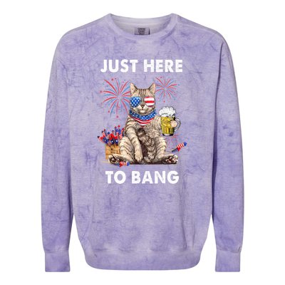 Funny Beer 4th Of July Cat Lover Just Here To Bang Usa Flag Gift Colorblast Crewneck Sweatshirt