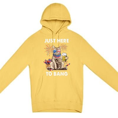 Funny Beer 4th Of July Cat Lover Just Here To Bang Usa Flag Gift Premium Pullover Hoodie