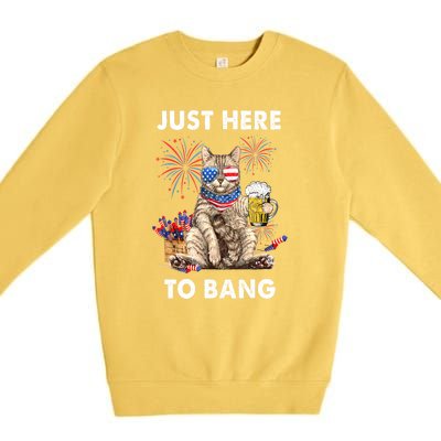 Funny Beer 4th Of July Cat Lover Just Here To Bang Usa Flag Gift Premium Crewneck Sweatshirt