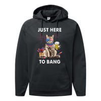 Funny Beer 4th Of July Cat Lover Just Here To Bang Usa Flag Gift Performance Fleece Hoodie