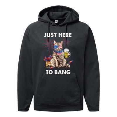 Funny Beer 4th Of July Cat Lover Just Here To Bang Usa Flag Gift Performance Fleece Hoodie