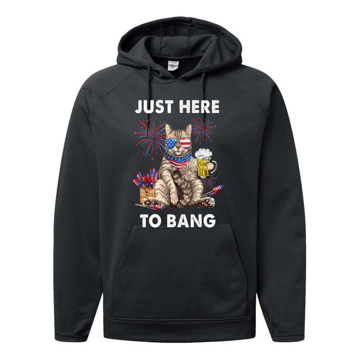 Funny Beer 4th Of July Cat Lover Just Here To Bang Usa Flag Gift Performance Fleece Hoodie