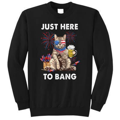 Funny Beer 4th Of July Cat Lover Just Here To Bang Usa Flag Gift Sweatshirt