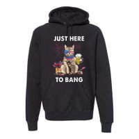 Funny Beer 4th Of July Cat Lover Just Here To Bang Usa Flag Gift Premium Hoodie