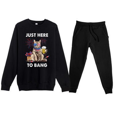 Funny Beer 4th Of July Cat Lover Just Here To Bang Usa Flag Gift Premium Crewneck Sweatsuit Set