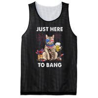 Funny Beer 4th Of July Cat Lover Just Here To Bang Usa Flag Gift Mesh Reversible Basketball Jersey Tank