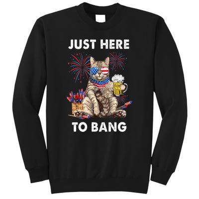 Funny Beer 4th Of July Cat Lover Just Here To Bang Usa Flag Gift Tall Sweatshirt