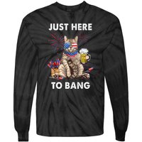 Funny Beer 4th Of July Cat Lover Just Here To Bang Usa Flag Gift Tie-Dye Long Sleeve Shirt